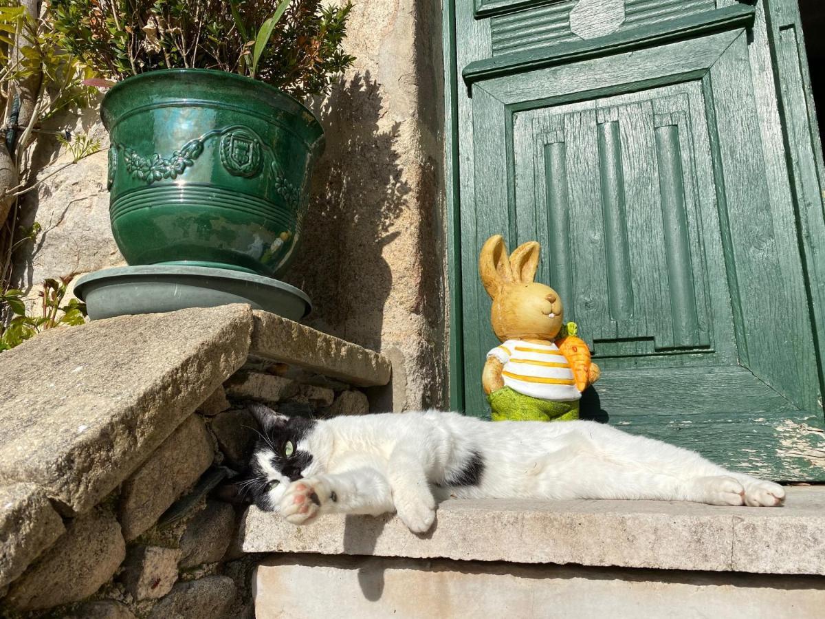 Le Clos St Georges Entraygues sur Truyere Bagian luar foto